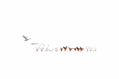 NOCH 15772 H0 Kippen en ganzen figuren Geverfd, Staand