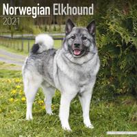 Noorse Elandhond Kalender 2021 - thumbnail