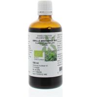 Natura Sanat Plantago lanc / smalle weegbree tinctuur bio 100 Milliliter - thumbnail