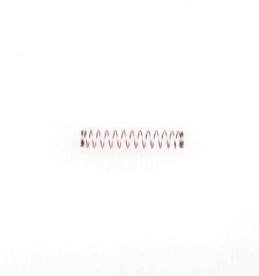 Hauptner Koolborstelveer