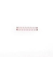 Hauptner Koolborstelveer - thumbnail