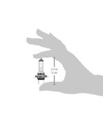 Hallogeenlamp M-Tech Z7 H7 12V 55W PX26D - thumbnail