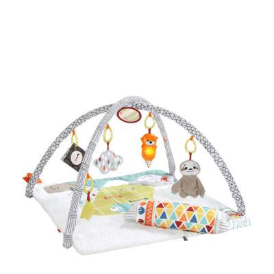 Fisher Price - Deluxe Gym - Speelgoed (0887961824148)
