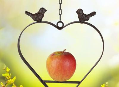 Vogelvoederhanger - vetbolhouder - Mezenbollenhouder Vogelvoederhanger - vetbolhouder - Mezenbollenhouder