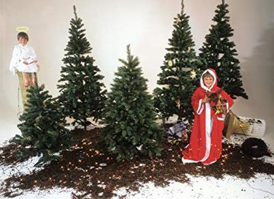 Europalms 83500107 Kunstkerstboom Zilverspar Groen Standaard 210 cm