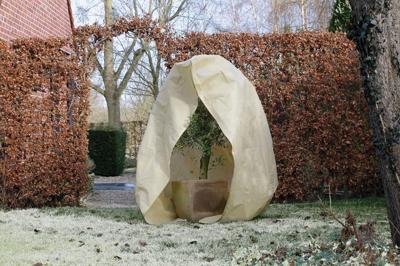 Nature winterafdekhoes met rits H300 cm D250 cm beige