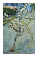 Van Gogh Pear Tree Blossoms Kunstdruk 60x80cm - thumbnail