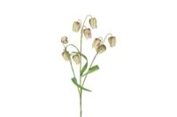 Decostar zijdebloem Fritillaria 70 cm mix - thumbnail