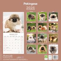 Pekingees Kalender 2026 - thumbnail