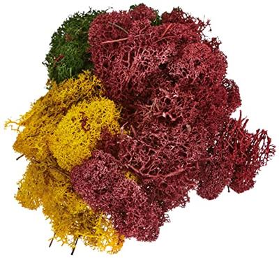 NOCH 8620 Mos Herfstmengsel