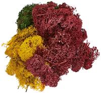 NOCH 8620 Mos Herfstmengsel - thumbnail