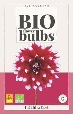 BIO Dahlia duet