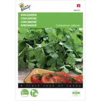 Buzzy® Koriander Zaden - thumbnail