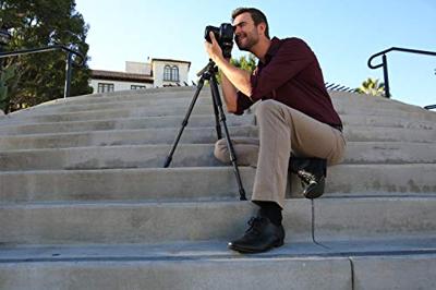 Vanguard Alta Pro 2+ 263AB100