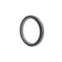 INA SL181860-E-C3 Cilinderlager Boordiameter 300 mm Buitendiameter 380 Toerental (max.) 920 omw/min - thumbnail