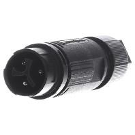 Wieland Electric 46.032.4553.1 Ronde connector Stekker, recht Totaal aantal polen: 2 + PE Serie (ronde connectoren): RST® MINI 1 stuk(s) - thumbnail