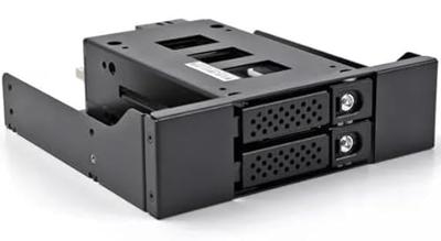DeLOCK Slim Bay Mobile Rack for 2 x 2.5" U.2 NVMe SSD with 5.25" frame wisselframe - thumbnail