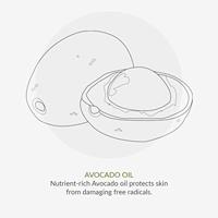 Green People Conditioner artichoke & quinoa 200 Milliliter - thumbnail