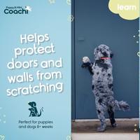 Hondentuigje Coachi - thumbnail