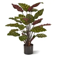 Calathea Makoyana Red 60 cm - Kunstplant - thumbnail