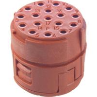 EPIC Signal M23 P-inzetstukken, 17-polig 73028000 Lapp Zubehör LAPP Inhoud: 5 stuk(s) - thumbnail