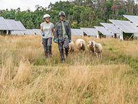 uvex 8887601 Cargobroek Grijs Maat: 36 - thumbnail