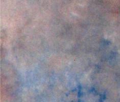 Falcon Eyes Achtergronddoek S122 2,9x7 m
