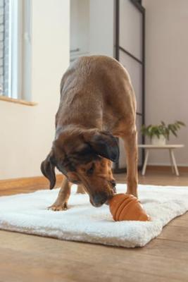 Beeztees Sumo Play L Oranje