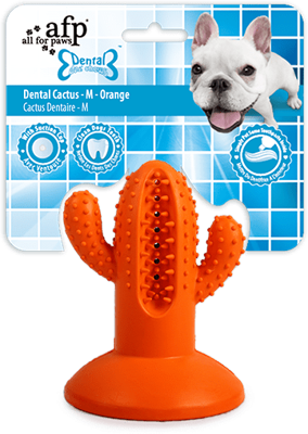 AFP Dental Chews - Dental Cactus M Oranje AFP Dental Chews - Dental Cactus M Oranje
