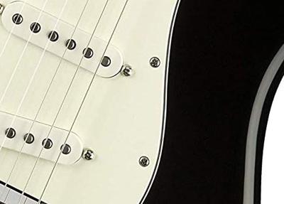 Fender slagplaat schroeven chroom (24 stuks)