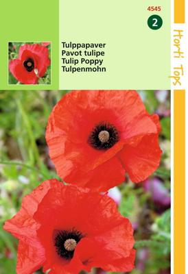 Zaden Papaver Tulppapaver Hortitops - Hortitops