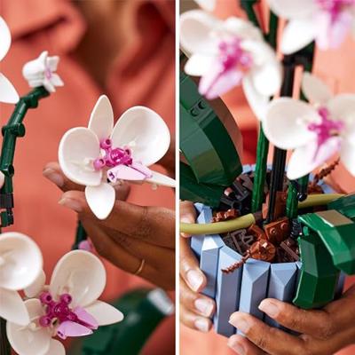 Lego Icons 10311 Orchidee