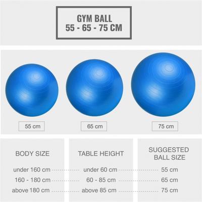 Fitnessbal Blauw 65 cm incl. pomp