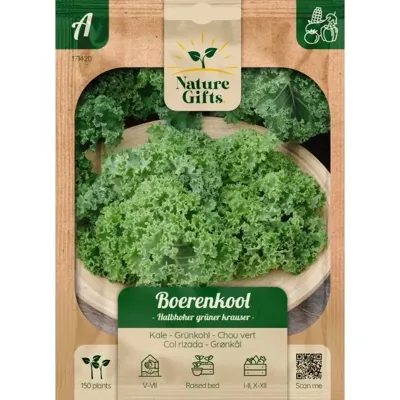 Boerenkool halfhoge groene gekruid 175st