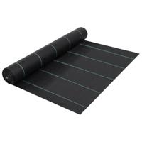 Worteldoek 2x10 m PP zwart - thumbnail