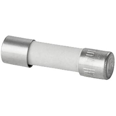 Weidmüller 2780760000 RS-FUSE 5X20 10A250V F Buiszekering 10 A Snel -F- Inhoud 10 stuk(s)