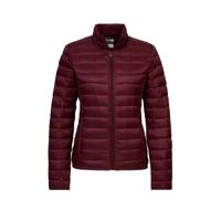 America Today gewatteerde tussenjas donkerrood - thumbnail