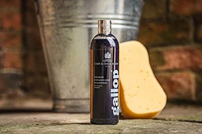 Carr & Day & Martin Dreamcoat shampoo