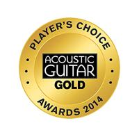 LR Baggs Element Active System akoestische gitaar preamp-set - thumbnail