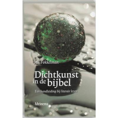 Dichtkunst in de bijbel (Paperback)