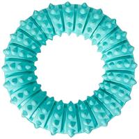 Trixie Denta Fun Natural Rubber Mint Fresh Ring voor Hond, 12 cm, 1 Stuk - thumbnail