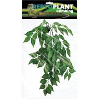 Repto Aquadistri plant green 30 cm - Aquadistri - thumbnail
