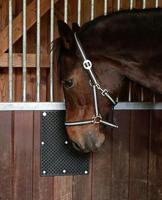 Borstelmat voor Paard, Kalf, Geit Zwart (L40xB30cm) - thumbnail