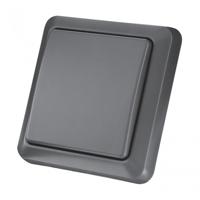 KlikAanKlikUit AGST-8800 Draadloze Buiten Wandschakelaar knop - thumbnail