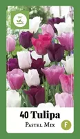 Bloembollen Tulipa Pastel Mix 35st - thumbnail