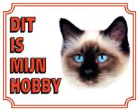 Heilige Birmaan Waakbord - Dit is mijn hobby - thumbnail