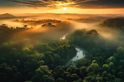 Alexsar Art schilderij Deco panel view vibe 90x60cm