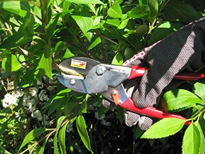 Meister Snoeischaar Amboss Re W - WU9719800