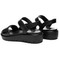 Ara 1233518 - alle - thumbnail