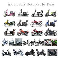 Haza Lampion Leeuw Ø20cm - thumbnail